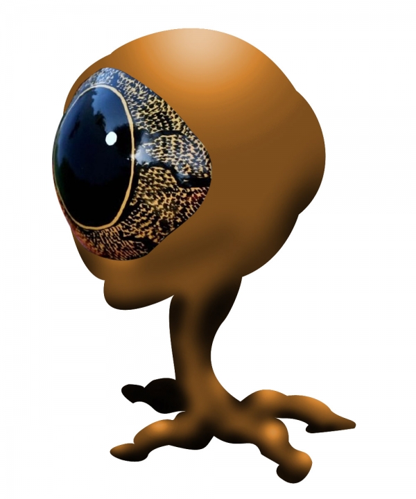 Creation of Frogeye Family(Alien): Step 4